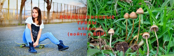 экстази Новодвинск