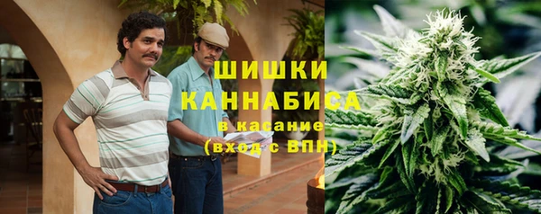 сатива Нязепетровск