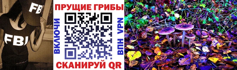 Псилоцибиновые грибы Cubensis  наркотики  Саки 