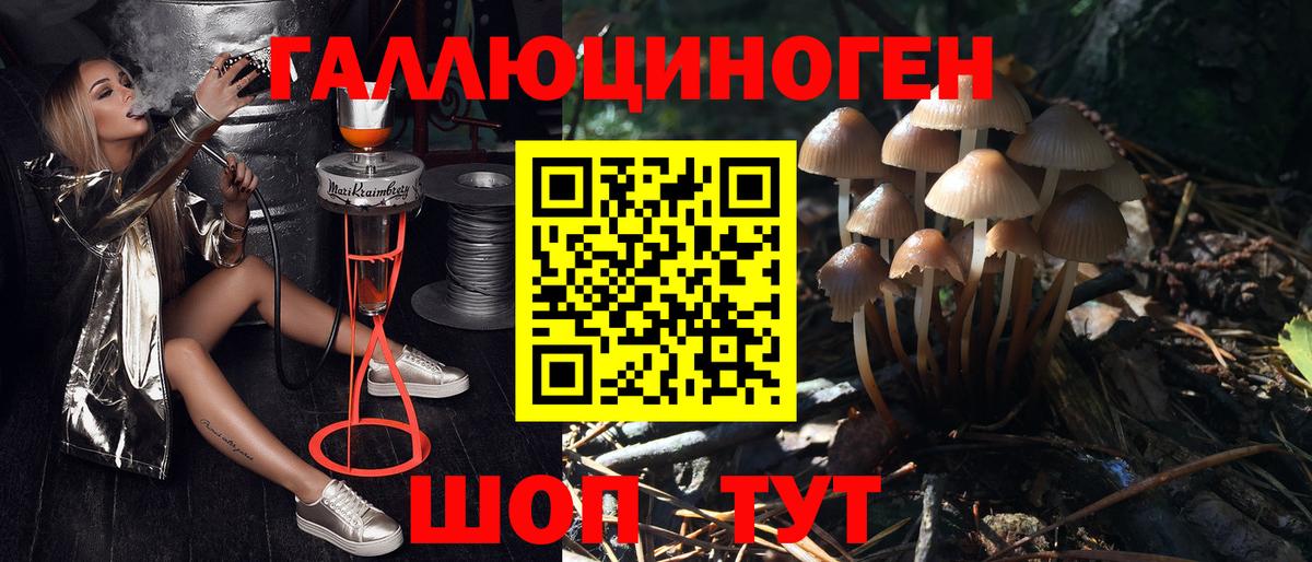 Галлюциногенные грибы прущие грибы Саки